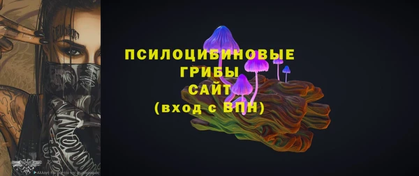 винт Арсеньев