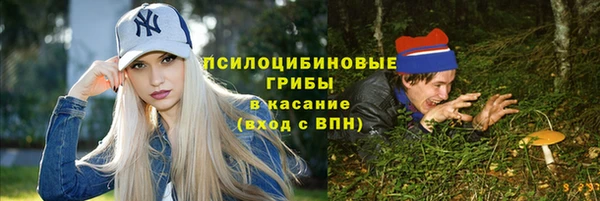 твердый Армянск