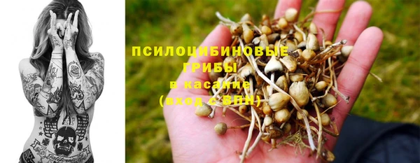 твердый Армянск