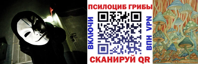 как найти закладки  Бакал  Галлюциногенные грибы Magic Shrooms 