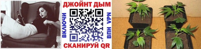 mega купить наркотики сайты Бакал Бошки Шишки планчик